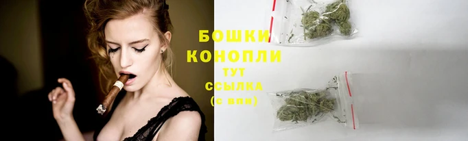 тгк Белокуриха