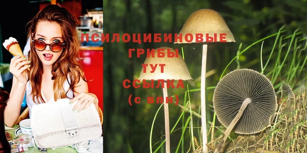 спайс Беломорск